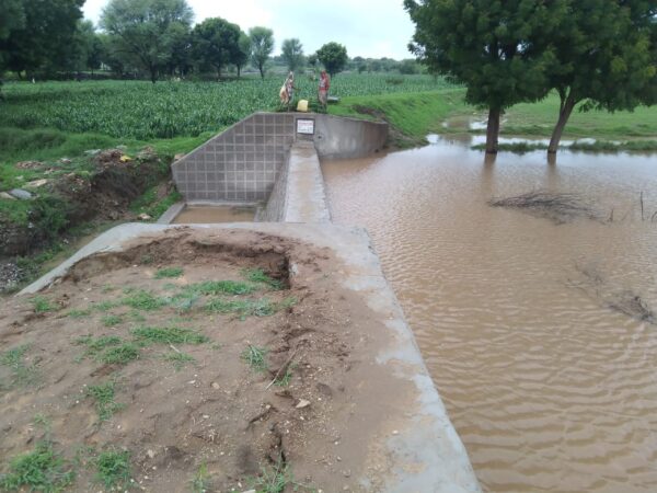 Cheeta-Draa Check Dam
